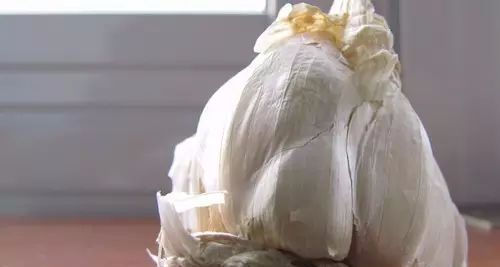 小妙招窍门油渍除生活中的污垢_小妙招窍门油渍除生活污垢_生活小妙招除油渍小窍门