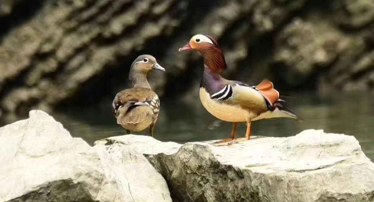 马拉松后湖_马拉松湖南_潜江后湖马拉松路线图