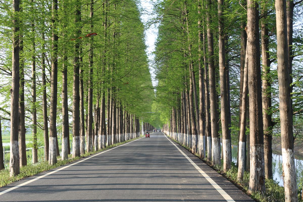 潜江后湖马拉松路线图_马拉松后湖_马拉松湖南