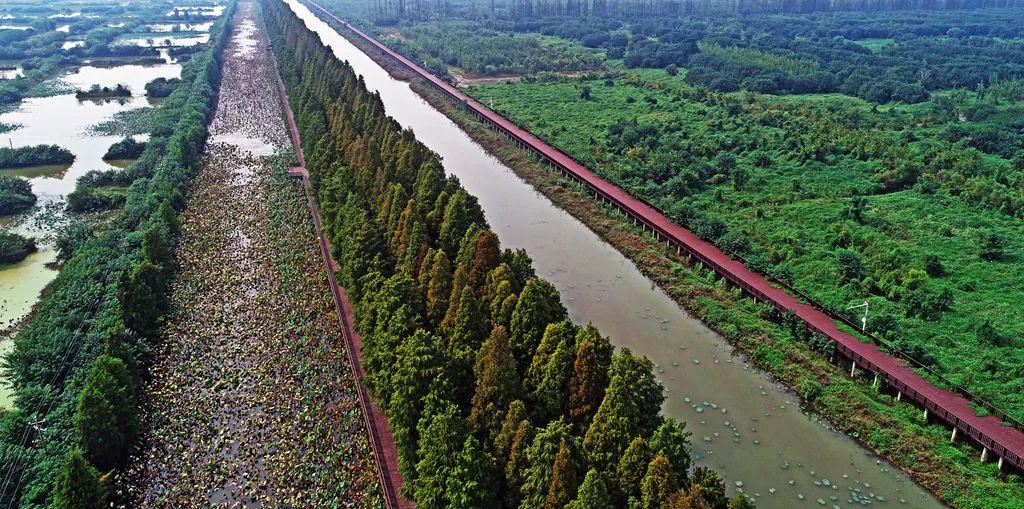 马拉松后湖_潜江后湖马拉松路线图_马拉松湖南