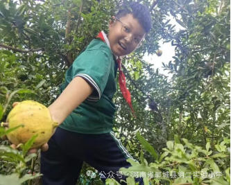 篮球历史书籍推荐_篮球历史书_篮球历史资料