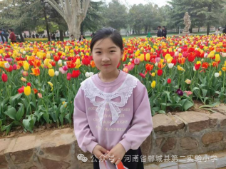 篮球历史资料_篮球历史书籍推荐_篮球历史书