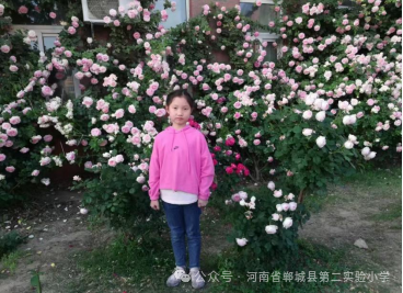 篮球历史书籍推荐_篮球历史资料_篮球历史书