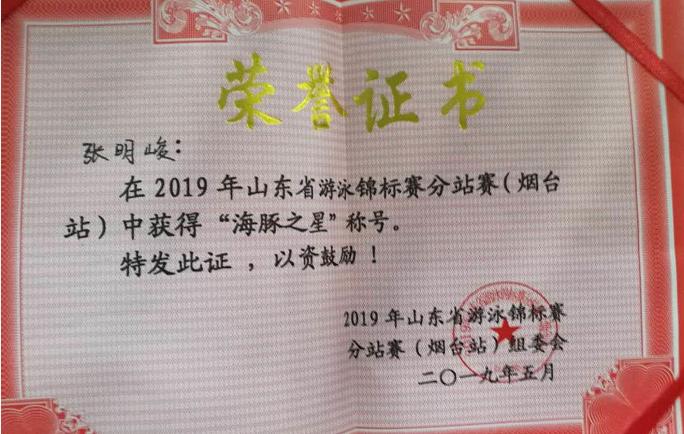 山东省游泳冠军赛_山东省运会女子游泳冠军_山东女子游泳队