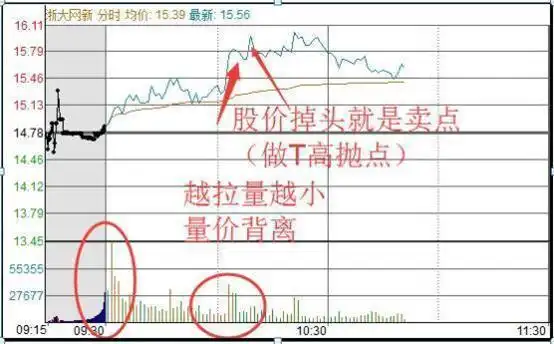篮球基本规则一句话介绍_篮球规则讲解大全_篮球的规则和玩法