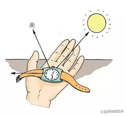 树叶生活小窍门_小树叶怎么做手工_树叶小制作大全简单又漂亮