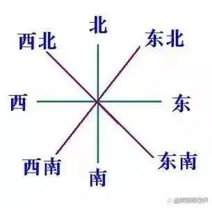 树叶生活小窍门_树叶小制作大全简单又漂亮_小树叶怎么做手工