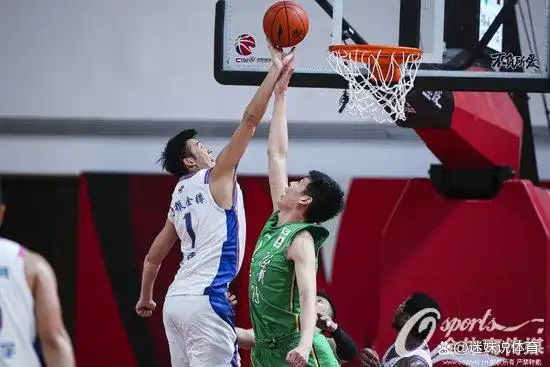 篮球规则中打手定义是什么_篮球中打手的定义_篮球规则打手什么意思