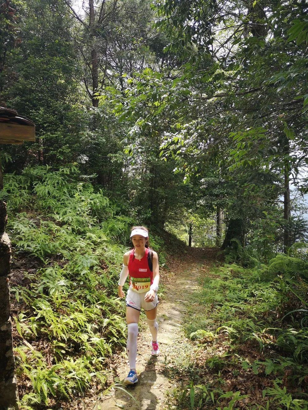 跑马拉松前一晚_马拉松前一天还跑吗_马拉松前两天跑不跑