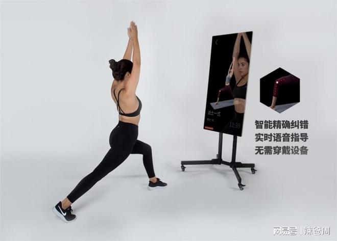 器材家用健身组合图片_器材家用健身组合推荐_健身器材家用组合