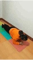 篮球犯规和违规的区别_篮球违体防守犯规规则是什么_篮球防守违例