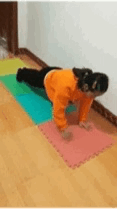 篮球违体防守犯规规则是什么_篮球防守违例_篮球犯规和违规的区别