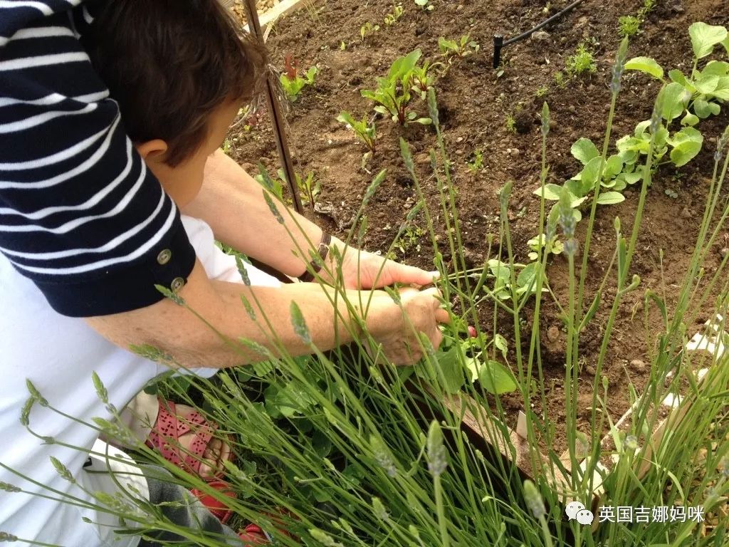 生活妙招收纳常识_仙子生活小常识_仙子的生活