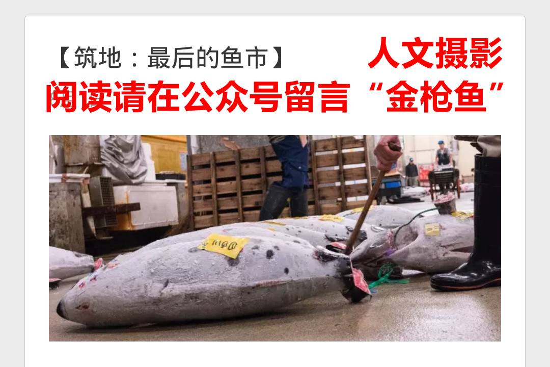 韦德篮球比赛_韦德篮球怎样_韦德的篮球规则